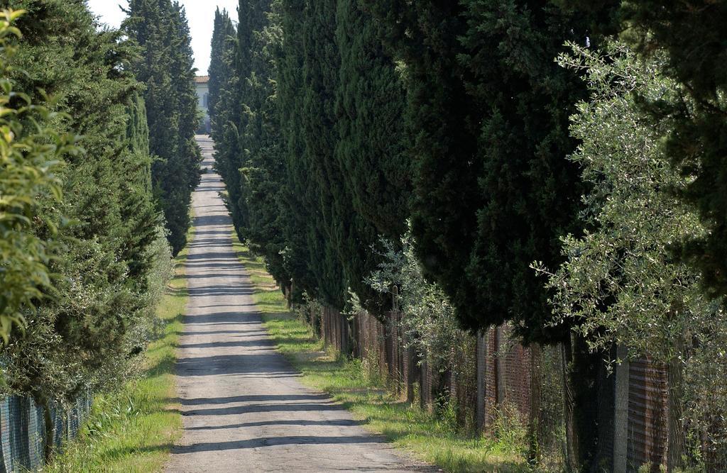 스칸디치 Agriturismo Poggio Arioso 아파트 외부 사진